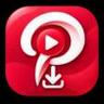 PinsDownload logo